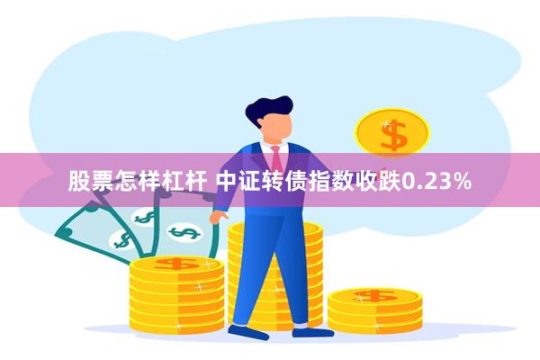 股票怎样杠杆 中证转债指数收跌0.23%