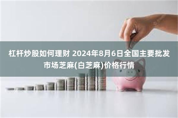 杠杆炒股如何理财 2024年8月6日全国主要批发市场芝麻(白芝麻)价格行情