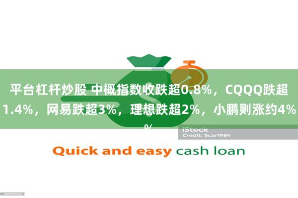 平台杠杆炒股 中概指数收跌超0.8%，CQQQ跌超1.4%，网易跌超3%，理想跌超2%，小鹏则涨约4%