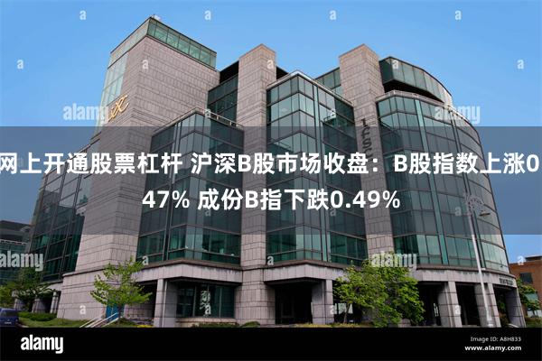 网上开通股票杠杆 沪深B股市场收盘：B股指数上涨0.47% 成份B指下跌0.49%