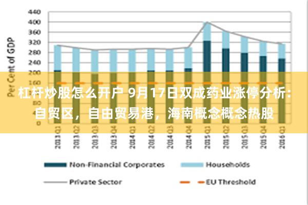 杠杆炒股怎么开户 9月17日双成药业涨停分析：自贸区，自由贸易港，海南概念概念热股