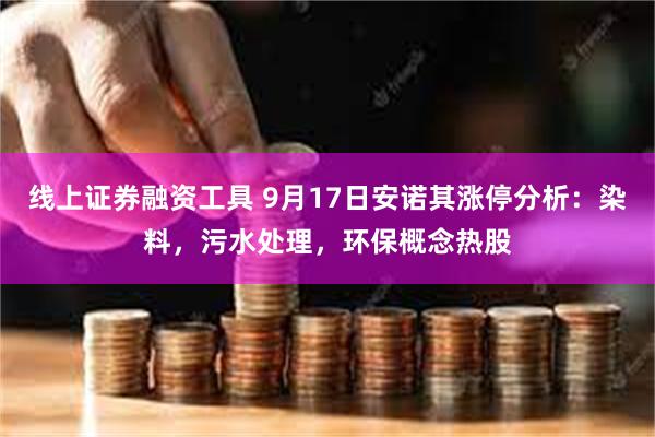 线上证券融资工具 9月17日安诺其涨停分析：染料，污水处理，环保概念热股