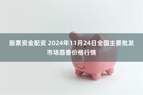 股票资金配资 2024年11月24日全国主要批发市场茴香价格行情