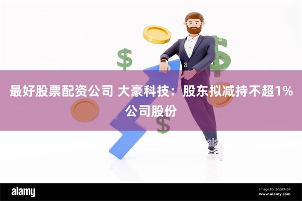 最好股票配资公司 大豪科技：股东拟减持不超1%公司股份