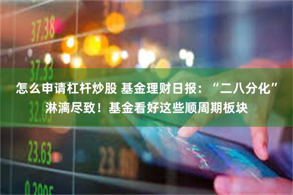 怎么申请杠杆炒股 基金理财日报：“二八分化”淋漓尽致！基金看好这些顺周期板块